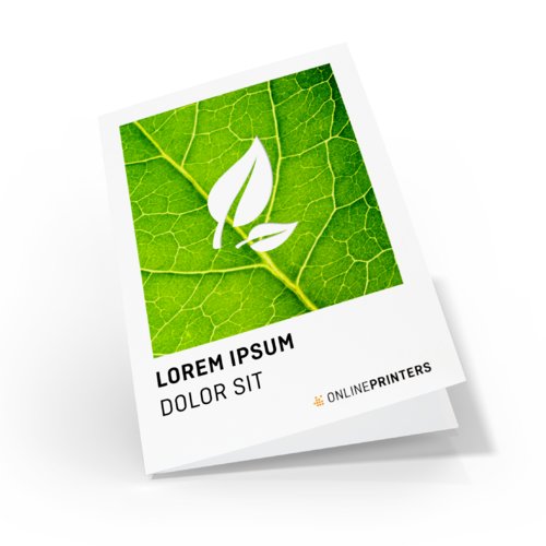 Folded Leaflets eco/natural paper, Portrait, DVD Booklet 1