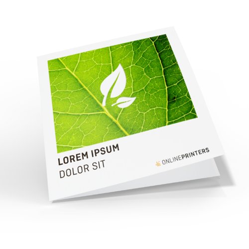 Folded Leaflets eco/natural paper, CD-Format 1