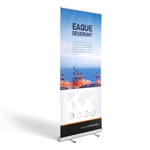 Multi-packs Roller Banner Economy silver, 100 x 200 cm 1