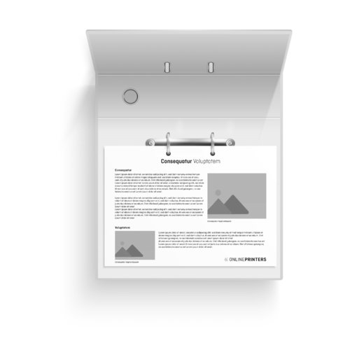 Single-sided printed loose leaf collection.
