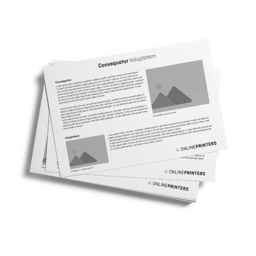 Paper loose leaf collection, printed on both sides.