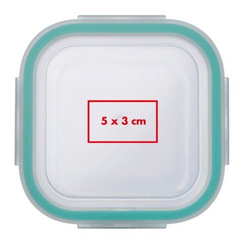 Transparent food storage container with colored sealing ring.