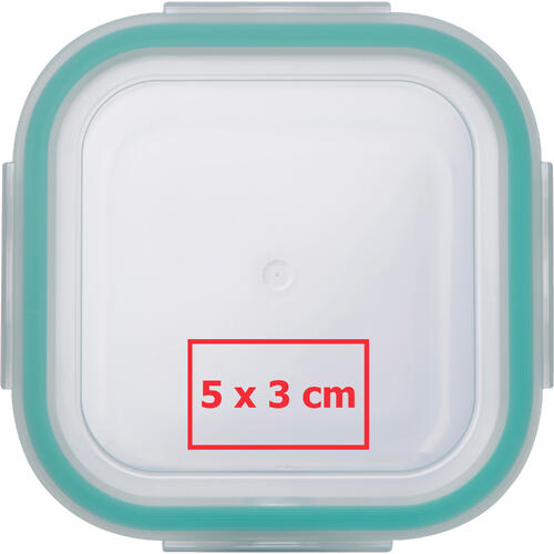 Transparent food storage container with colored sealing ring.
