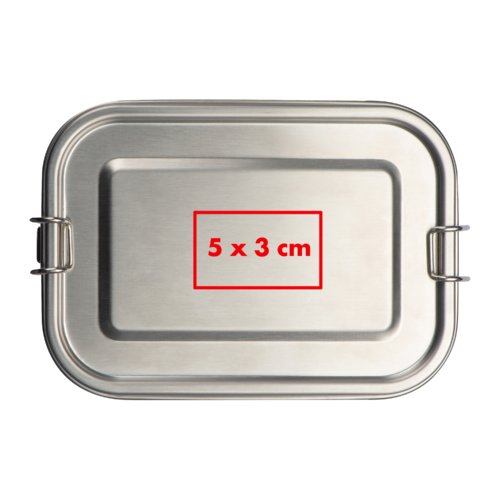 Metal lunchbox with locking clips.