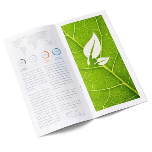 Brochures, eco/natural paper, portrait, DL special 2