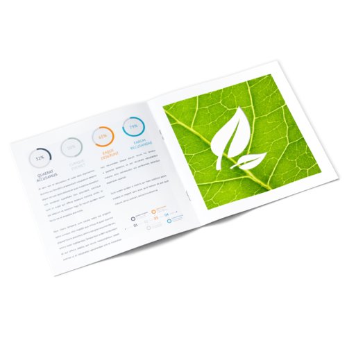 Brochures, eco/natural paper, Square, CD-Format 2