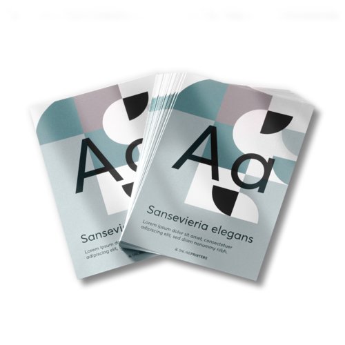 Folded Leaflets with special-effect colours, CD-Format 5