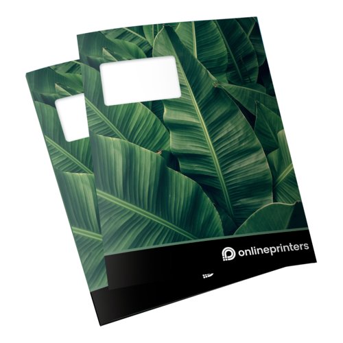 Paper folder with flaps and window.