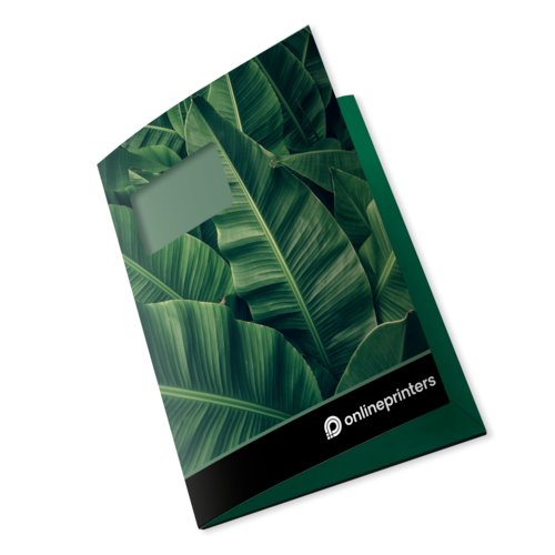 Paper folder with flaps and window.