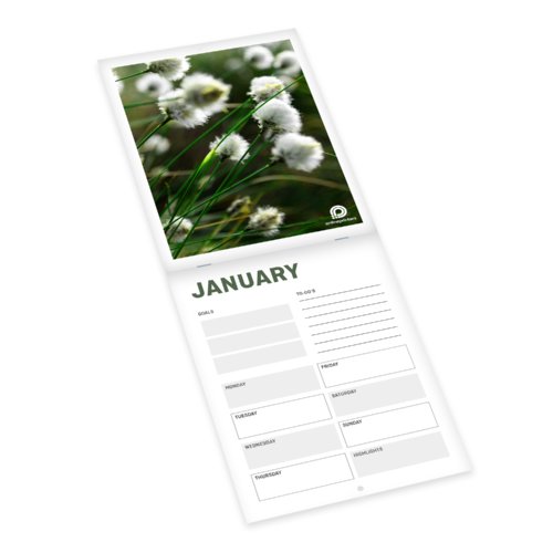 Paper wall calendar with cover sheet and monthly overview.