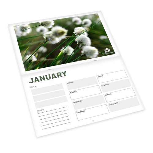 Paper wall calendar with cover sheet and spiral binding.