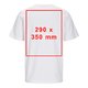White cotton T-shirt with short sleeves and round neck, unisex cut.