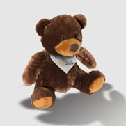 Dad teddy bear
