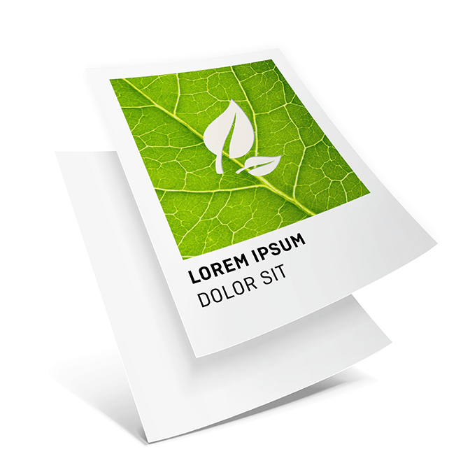 Image Flyers & Leaflets eco/natural paper, 4/0