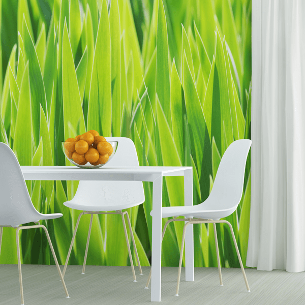 Image Photo wallpaper