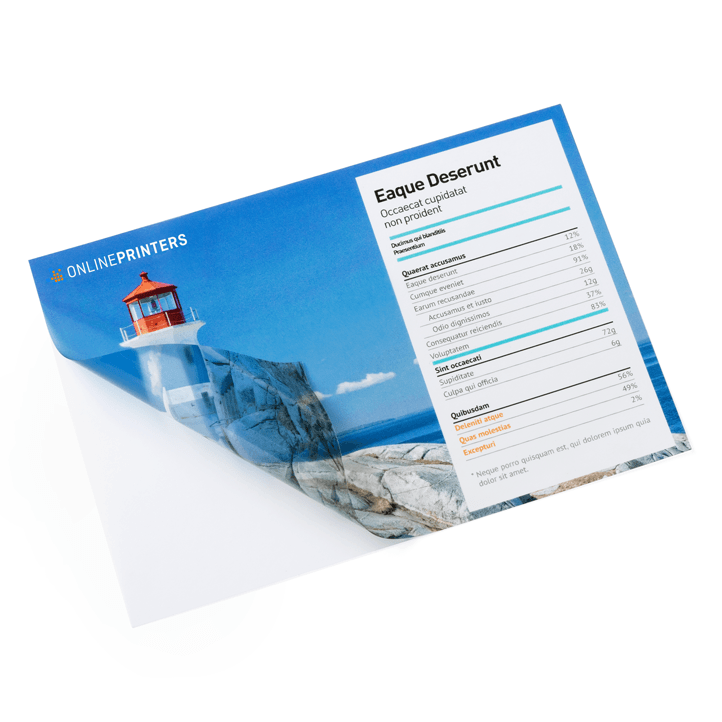 Image Stickers (electrostatic)