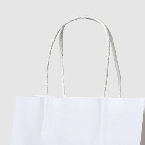 Budget paper bags, 40.0 x 35.0 x 10.0 cm 2