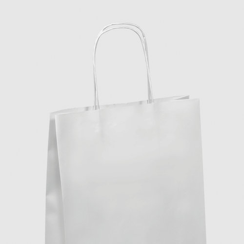 STANDARD paper bags with twisted handles, 24 x 32 x 9 cm 1